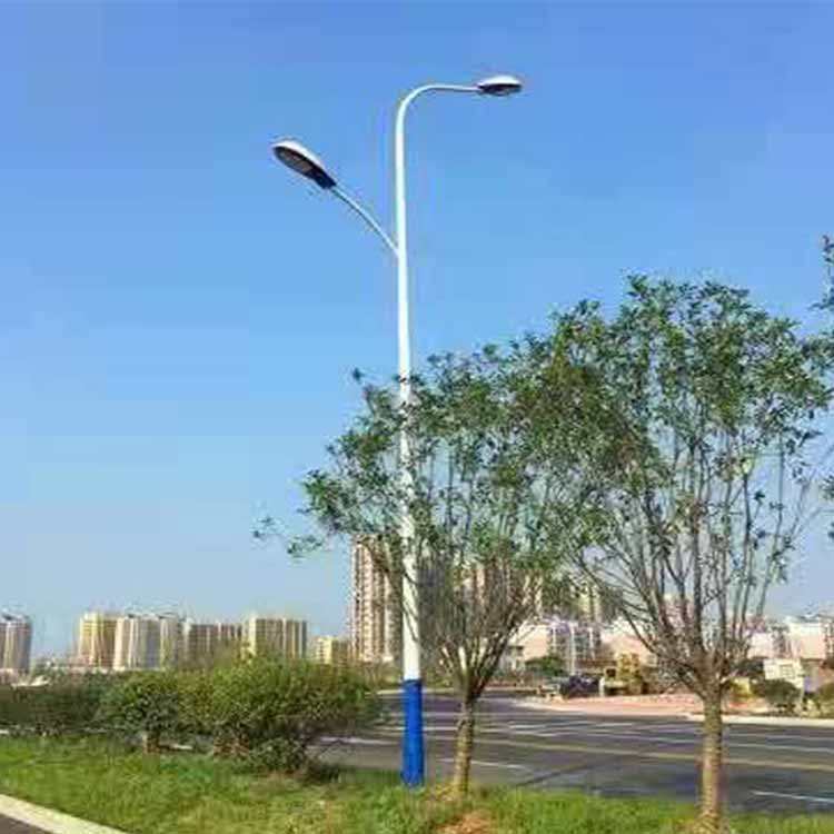 龙陵亮标6米太阳能路灯安装项目